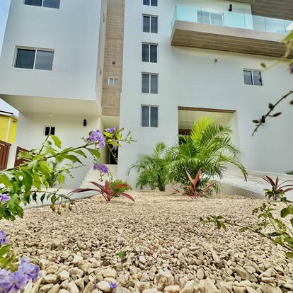 Modern tropical landscaping