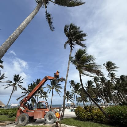 Equipment-assisted palm service